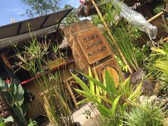 -Jungle Kitchen