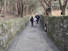 -普陀山风景区-佛顶山