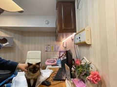 -宠爱国际动物医院·消化内科·心肾内科·ISFM猫友好(望京店)