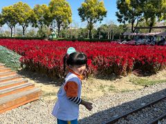 -广东花都香草世界旅游度假区