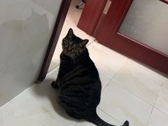 -小樽八音盒堂(手工制作体验馆店)