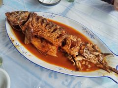 -金台阶鱼馆(于桥水库店)