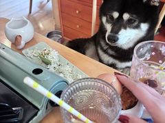 -柴の食堂·日式家庭料理·熊之肆(大学路店)