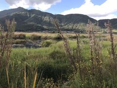 -腾冲北海湿地