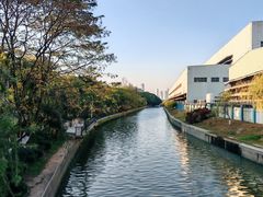-长洲岛