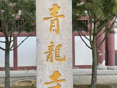 -西安青龙寺遗址景区