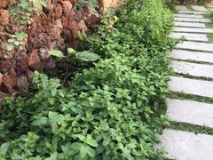 -悦哉·派对·草坪婚礼·围炉煮茶(三圣乡店)