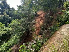 -火炉山森林公园