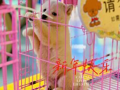 -鹏欣水游城