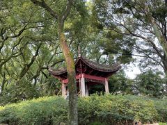 -天一阁博物院