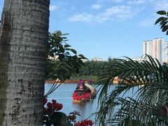 -万绿园