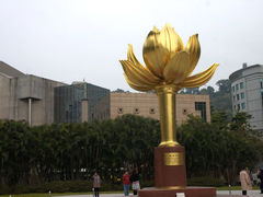 -金莲花广场