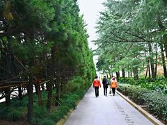 -上海市龙华烈士陵园