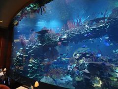 -迪拜帆船酒店海底餐厅