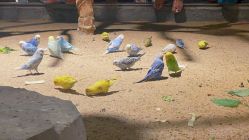 -酷嗒动物文化乐园(cutezoo西溪乐天城店)