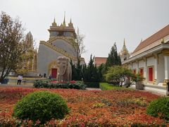 -洛阳白马寺