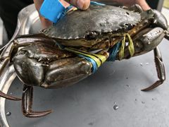 -Ministry of Crab•MOC(交子大道店)