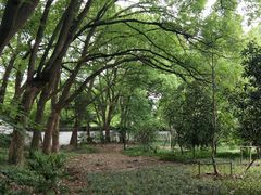 -上海佘山国家森林公园天马山园