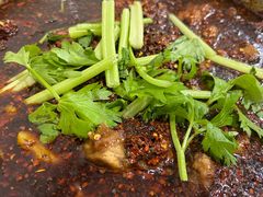 -温江公平红烧兔(总店)