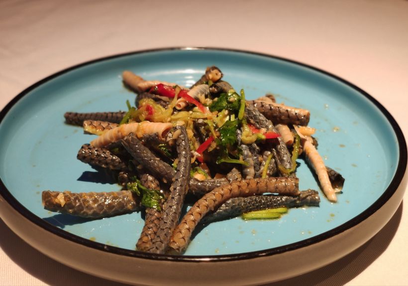 「凉拌蛇皮」这道冷菜味道做的也很不错,挺好吃的,口感有点脆