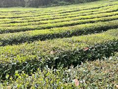 -敬亭山风景名胜区