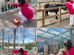 -水上乐园·欢乐世界