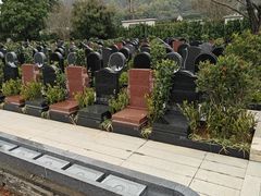 -武汉大学人民医院(首义院区)