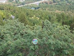 -云龙山