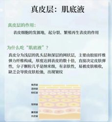 点击看大图 -玛莲朵·海菲秀冰珀科