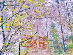-鸡鸣寺