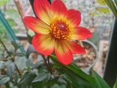 -小八仙·宴(三峡茶庄店)