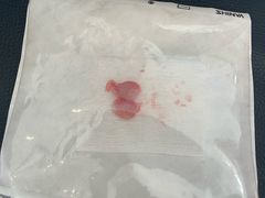 -伟伟宠物医院·瑞派猫友好医院·猫科(光谷店)