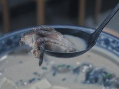 鱼头豆腐汤-素勤饮食店(城头巷店)