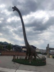 -恐龙探索乐园(磁器口店)