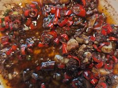 -洞庭家宴·头牌甲鱼(广渠门店)
