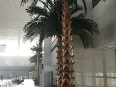-洛阳龙门站