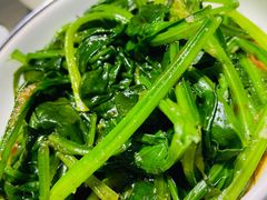 蒜蓉蒸菠菜-餐与自然(老商埠店)