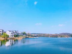 -大塘金香草谷