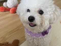-中农大我爱我爱24h动物医院·中医针灸·猫专科·骨科医疗中心(双井店)