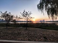 -金银湖国家城市湿地公园