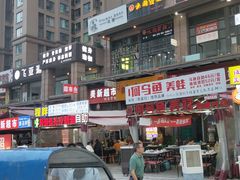 -重庆何乌鱼(南湖逸家店)