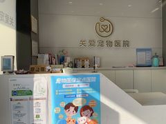 -关爱宠物医院·猫科中心·消化科(滨湖万达分院)