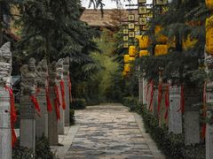 -中华郡文化旅游景区