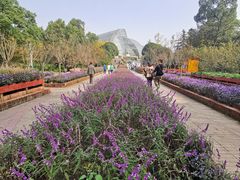 -南山植物园
