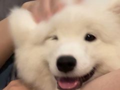 -绿草地·湘菜(芙蓉天街店)