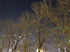 -人民防洪胜利纪念塔