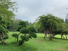 -荔枝公园(福田区)
