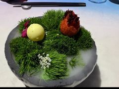 -良设夜宴 LIANGSHE