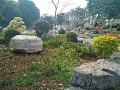 -东莞植物园