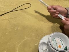 -202特色排档(五缘湾店)